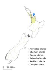 Veronica pubescens subsp. rehuarum distribution map based on databased records at AK, CHR & WELT.
 Image: K.Boardman © Landcare Research 2022 CC-BY 4.0